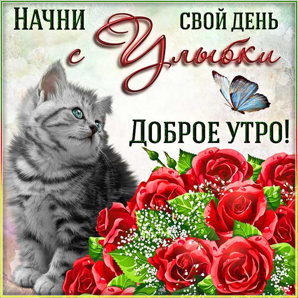 Открытка доброе утро. Со словами замечательного, позитивного, классного утра, котик, розы, сияние, котенок, мигающие, стихи, картинки про утро пожелать.