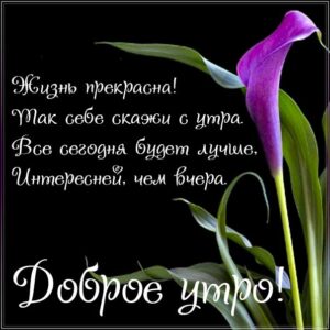 доброе утро, пожелание счастья, позитива на день, утренняя улыбка, чудесного настроения, приятная картинка