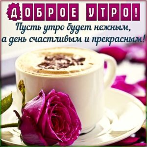 Картинка нежного утра. Прекрасного дня надпись, с бликами позитивного утра, роза, утренний позитив, стихотворение, стих, с бликами, мерцающие, фразы, узоры.