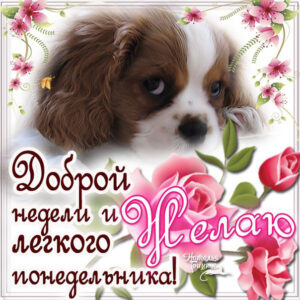 Понедельник открытка пожелание