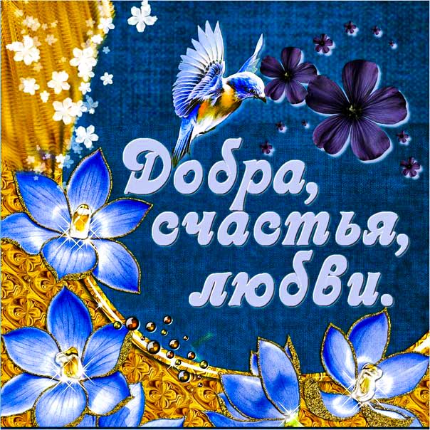 Друзьям пожелание, доброты и счастья, добра счастья любви, для друзей картинка, красивое пожелание, картинка с текстом