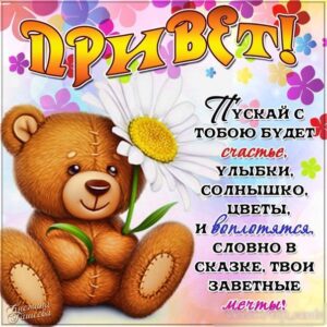 открытки с приветом