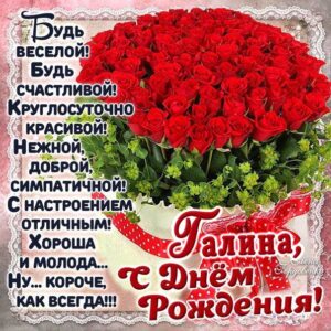 С днем рождения Галина