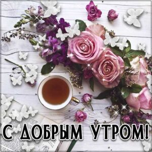 Замечательного утра, теплого утра, нежного утра, доброе утро чудесного солнечного дня, прекрасное утро, ласкового утра, радостного утра