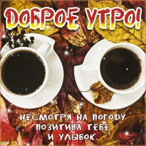Доброе утро осень, солнечного утра, чудесных эмоций, замечательного утра, теплого утра, нежного утра, доброе утро чудесного солнечного дня