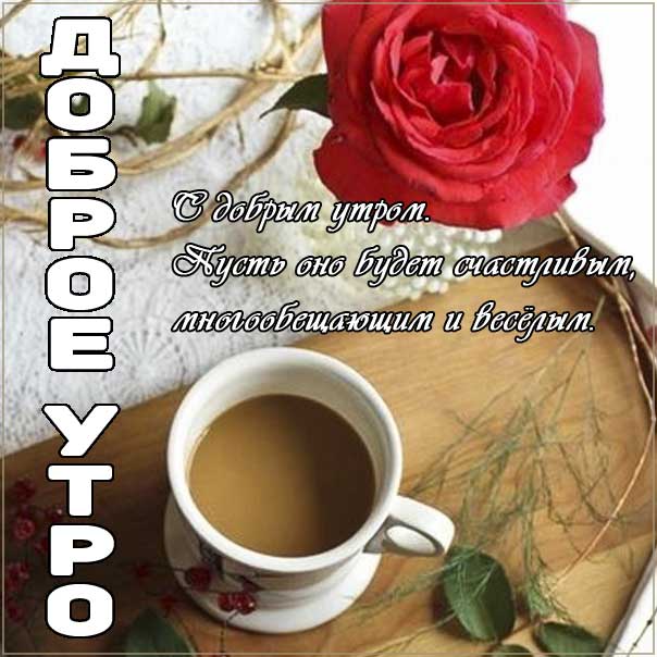 Доброе утро, замечательного утра, теплого утра, нежного утра, доброе утро чудесного солнечного дня, прекрасное утро, ласкового утра