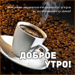 Доброе утро, бодрого тебе утра, солнечного утра, чудесных эмоций, замечательного утра, теплого утра, нежного утра