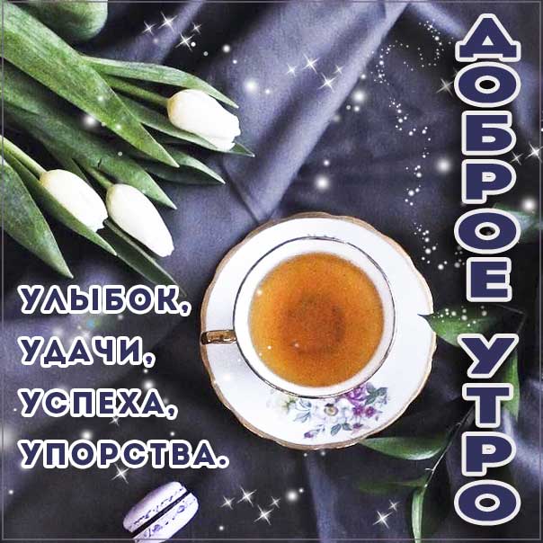 Доброе утро, позитивного утра, с добрым утром открытки, утро чай тюльпаны, чудесного тебе утра, прекрасного утра