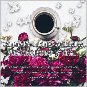 замечательного утра, теплого утра, нежного утра, доброе утро чудесного солнечного дня, прекрасное утро, ласкового утра