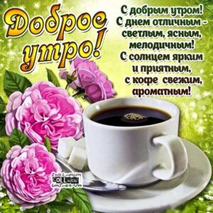 Доброе утро, позитивного утра, с добрым утром открытки, утро розы кофе, чудесного тебе утра, прекрасного утра, солнечного утра, чудесных эмоций, замечательного утра, теплого утра, нежного утра, доброе утро чудесного солнечного дня