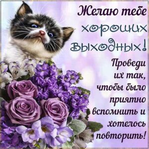 картинки открытки выходные, открытки с пожеланием выходных, друзьям открытки выходные, выходной позитив
