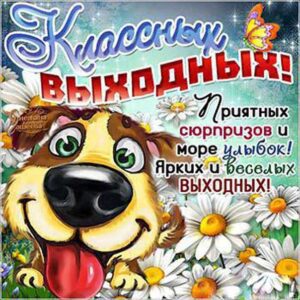Открытки прикольные Выходные