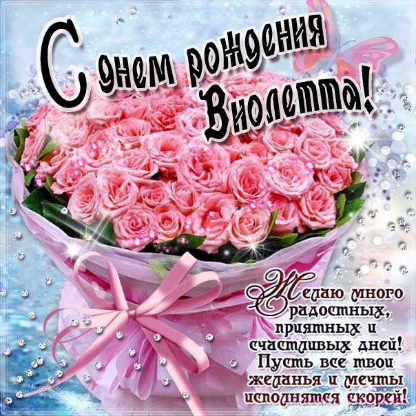 Виола Днем рождения мерцающая открытка. Букет, розы, букет из роз, красные розы, с надписью, фразы, Виолетта, красивая картинка, розовые розы.