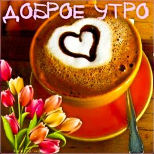 Открытка доброго утра. Позитивного начала дня, утренний позитив, тюльпаны, утро кофе, текст, красивая надпись утро, со стихом, мигающая, картинки, пожелание, картинка.