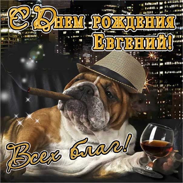 С днем рождения Евгений картинки, Евгению мужчине открытка с днем рождения, Геша с днем рождения, Женечка мужчина с днем рождения анимация, Геше именины картинки, поздравить Евгения, для Жени мужчине с днем рождения gif
