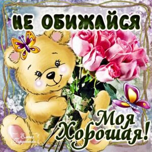 Картинки не обижайся со словами