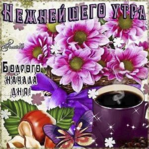 Картинка желаю бодрого утра. С добрым утром отличного настроения, позитива на день, цветы, с текстом, нежного утра, эффекты, мигающая, утренний позитив, кофе.