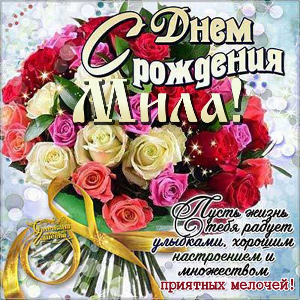 Мила с Днем рождения поздравительная открытка. Розы, красивый букет, слова, стих, поздравляю, эффекты, мигающая, узоры.