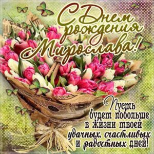 С днем рождения Мирослава картинки, Мирославе открытка с днем рождения, Мире день рождения, Мирославочка с днем рождения анимация, Мирочке именины картинки, поздравить Мирославу, для Мирославы с днем рождения, букет тюльпанов