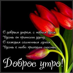 доброе утро, с добрым утром, утренняя улыбка, чудесного настроения, про утро картинка, утро с тюльпанами