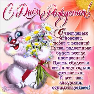 днюха ромашки
