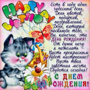 открытка котенок