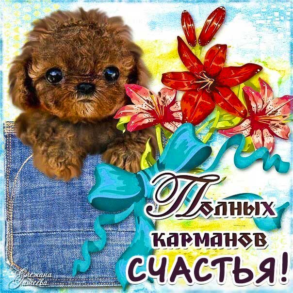 Желаю счастья картинка с фразами. Щенок, карман, цветы, счастья тебе.