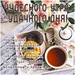 трогательные картинки доброе утро, с пожеланием хорошего утра, романтического утра, удачного утра, сказочно красивого утра, сладкого утра, восхитительного утра, бодрого тебе утра, солнечного утра