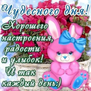 Открытки с пожеланиями хорошего дня