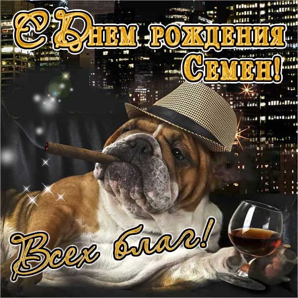 С днем рождения Семен картинки, Семену открытка с днем рождения, Сеня с днем рождения, Сенечка с днем рождения анимация, Сене именины картинки, поздравить Сеню, для Семена с днем рождения gif