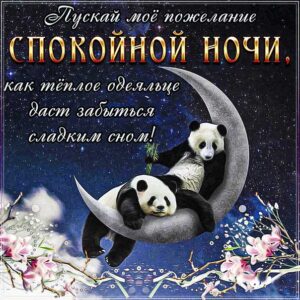 спокойной ночи, доброй ночи, сладких снов, приятных снов, нежных сновидений, снов хороших, цветных снов, прекрасных снов