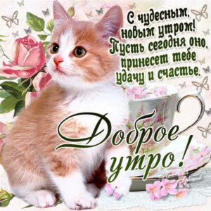 Чудесное утро с новым днем