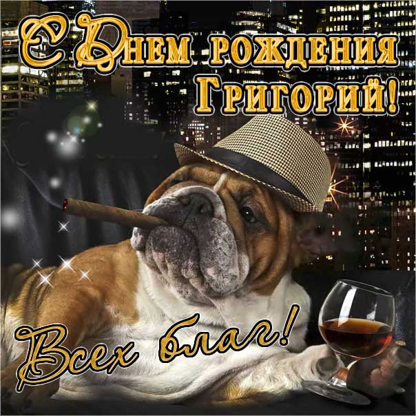  С днем рождения Григорий картинки, Грише открытка с днем рождения, Гриша с днем рождения, Гришенька с днем рождения анимация, Григорий именины картинки, прикольная картинка, веселая открытка, поздравить Гришу, для Григория с днем рождения открытки