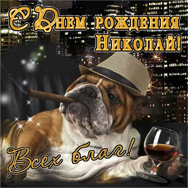 С днем рождения Николай картинки, Коле открытка с днем рождения, прикольная картинка, Колюня с днем рождения, Колюню с днем рождения анимация, Николай именины картинки, поздравить Колю, для Николая с днем рождения открытки