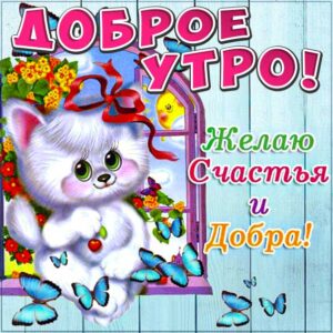 Доброе утро, пожелание счастья, позитива на день, утренняя улыбка, приятная картинка