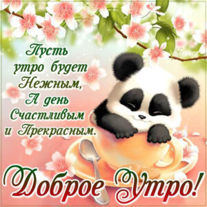 Нежное доброе утро. Счастливый день