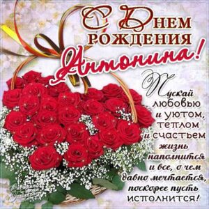 Картинки с Днем рождения Антонина, розы, цветы, красивая надпись, Антонине открытка с днем рождения