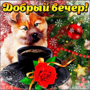 Приятного зимнего вечера тебе