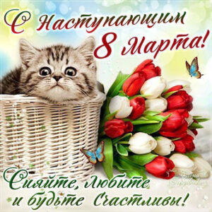 8 марта открытка цветы и котик