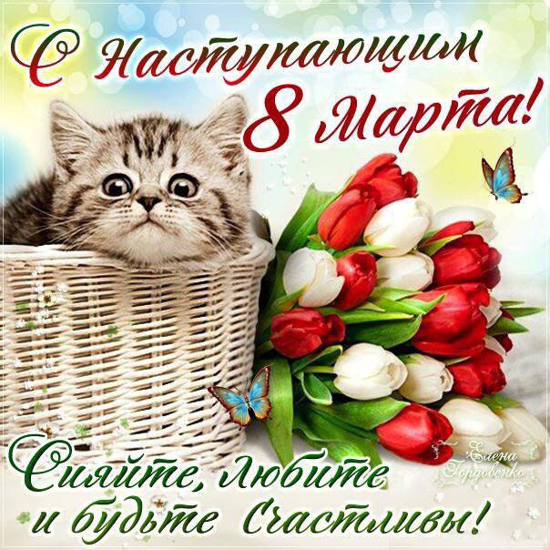 8 марта открытка цветы и котик