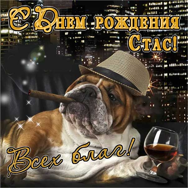 С днем рождения Станислав картинки, Стасу открытка с днем рождения, прикольная картинка, веселая открытка, Стас с днем рождения, Стасик с днем рождения анимация, Станислав именины картинки, поздравить Стасика, для Станислава с днем рождения открытки