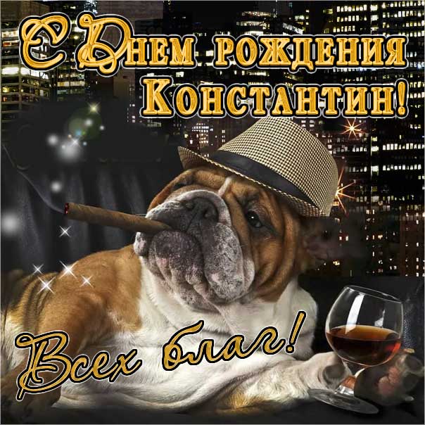 С днем рождения Константин картинки, Косте открытка с днем рождения, Костя с днем рождения, Котя с днем рождения анимация, прикольная картинка, веселая открытка, Константин именины картинки, поздравить Костю, для Константина с днем рождения открытки