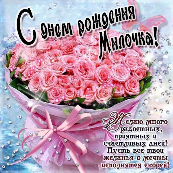 Мила c Днем рождения открытка. Розы, букет роз, подарок, красивая надпись, со стихом, мигающая, картинки, большой букет, шикарные розы, Милочка, поздравление, картинка, розовые розы.