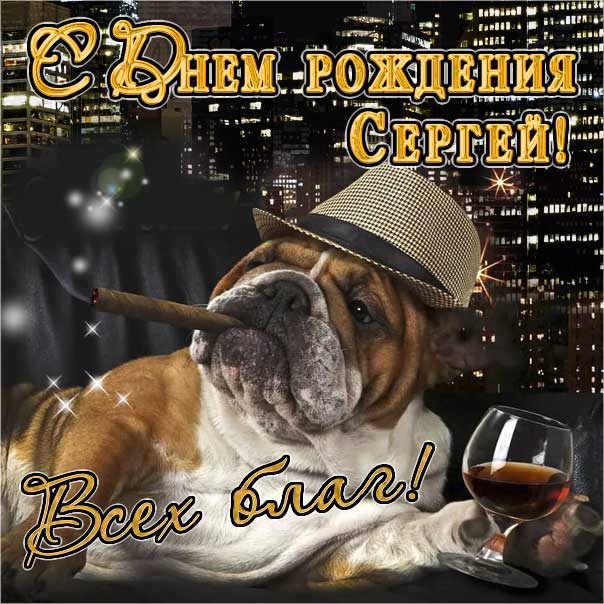 С днем рождения Сергей картинки, Сергею открытка с днем рождения, прикольная картинка, веселая открытка, Серёжа с днем рождения, Серёгу с днем рождения анимация, Сергей именины картинки, поздравить Сержа, для Сергея с днем рождения открытки