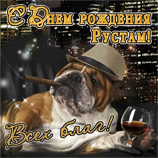 С днем рождения Рустам картинки, Рустаму открытка с днем рождения, Рустик с днем рождения, Рустамчик с днем рождения анимация, Рустам именины картинки, поздравить Рустика, для Рустама с днем рождения, прикольная картинка, веселая открытка, с юмором, с текстом, с надписью, со стихом