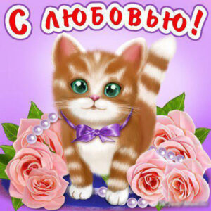 Я тебя Люблю открытки бесплатно