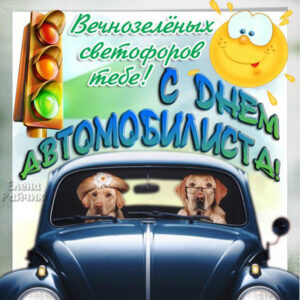 За рулем собаки