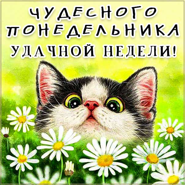 Понедельник пожелание, на всю неделю, чудесного понедельника, доброго понедельника, понедельник прикольные