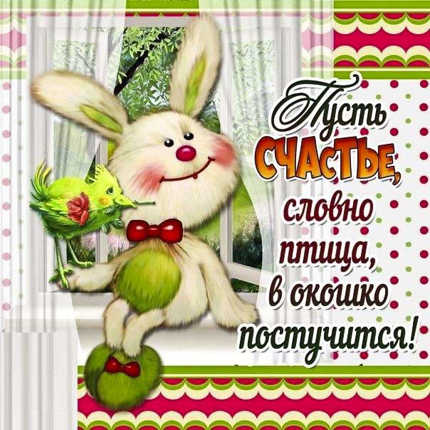 Картинки желаю счастья с красивыми фразами. Заяц, зайчик, мультик, со словами, с текстом, желаю добра.