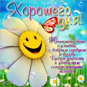 Добрый день на телефон картинка красивая